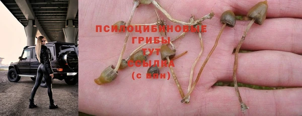 прущие крисы Абинск